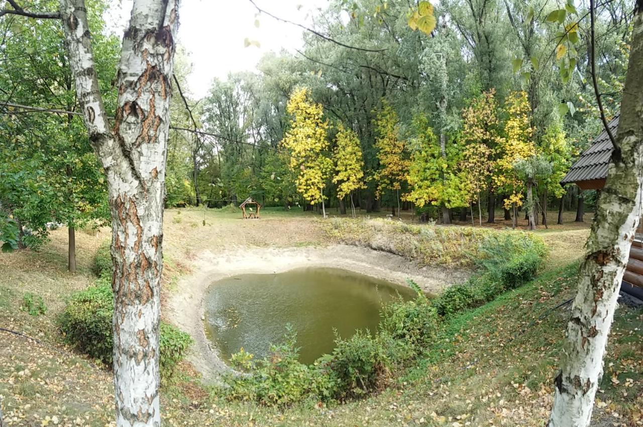 Zolotoy Bereg Hotel Csernyihiv Kültér fotó